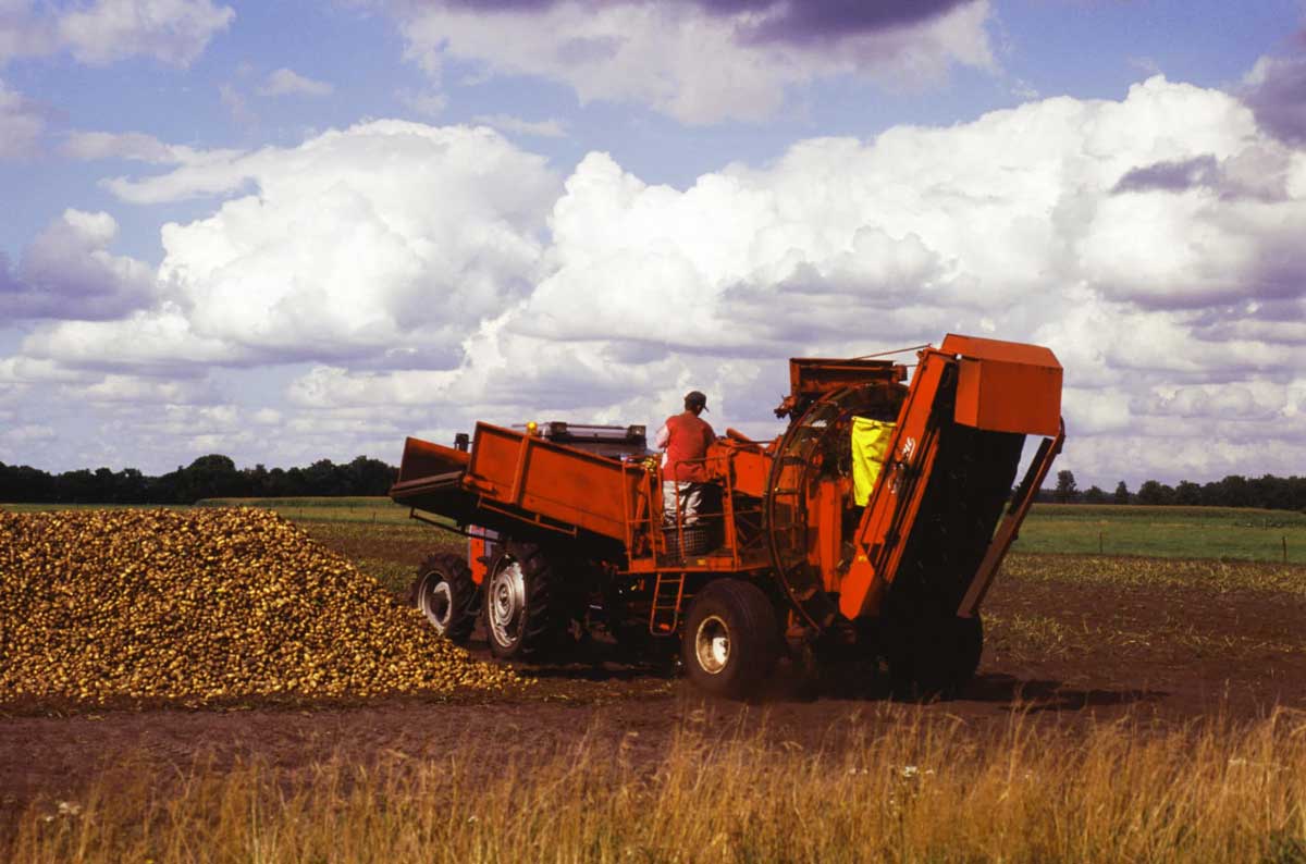 Agricultural practices in San Luis Valley, CO